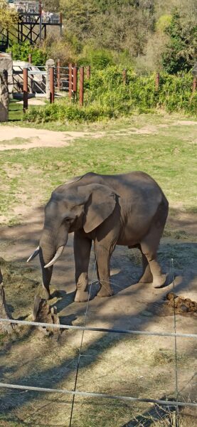 2025: Wenn das Leben plötzlich Kopf steht... der etwas andere Jahresrückblick 16 IMG 20250403 155241