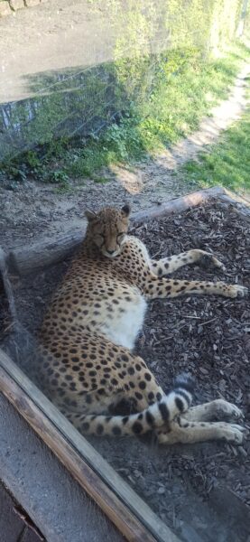 2025: Wenn das Leben plötzlich Kopf steht... der etwas andere Jahresrückblick 17 IMG 20250403 165128