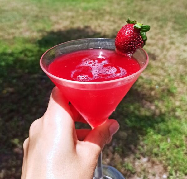 2025: Wenn das Leben plötzlich Kopf steht... der etwas andere Jahresrückblick 3 IMG 20250524 123206 scaled e1767187018775