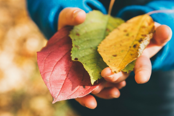 Meine Herbst Bucketliste